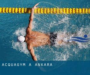 Acquagym a Ankara