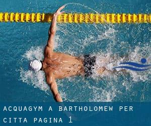 Acquagym a Bartholomew per città - pagina 1