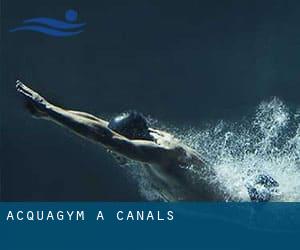 Acquagym a Canals