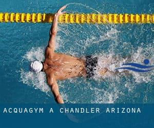 Acquagym a Chandler (Arizona)