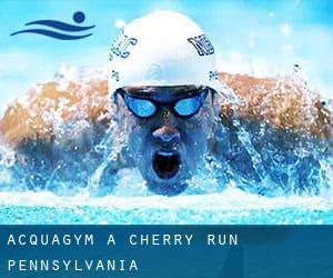 Acquagym a Cherry Run (Pennsylvania)