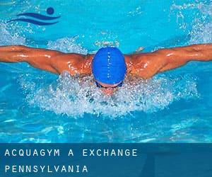 Acquagym a Exchange (Pennsylvania)