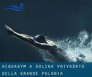 Acquagym a Golina (Voivodato della Grande Polonia)