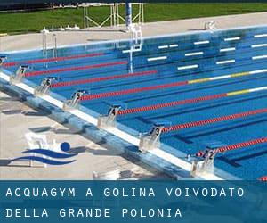 Acquagym a Golina (Voivodato della Grande Polonia)