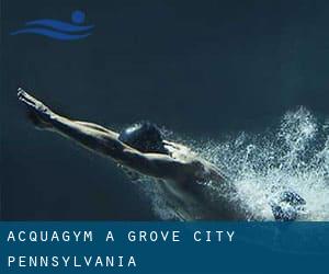 Acquagym a Grove City (Pennsylvania)