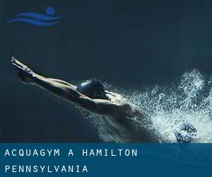 Acquagym a Hamilton (Pennsylvania)