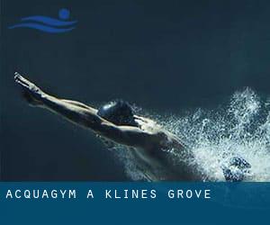 Acquagym a Klines Grove