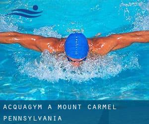 Acquagym a Mount Carmel (Pennsylvania)