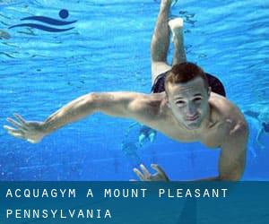 Acquagym a Mount Pleasant (Pennsylvania)