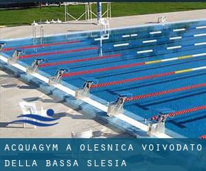 Acquagym a Oleśnica (Voivodato della Bassa Slesia)