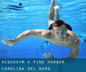 Acquagym a Pine Harbor (Carolina del Nord)