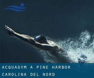 Acquagym a Pine Harbor (Carolina del Nord)