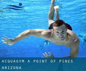 Acquagym a Point of Pines (Arizona)