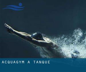 Acquagym a Tanque