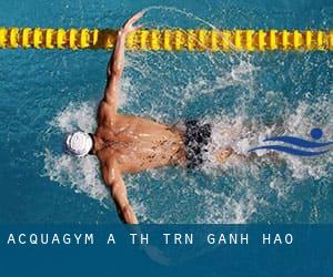 Acquagym a Thị Trấn Gành Hào