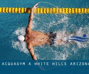 Acquagym a White Hills (Arizona)