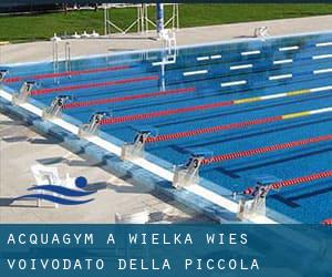 Acquagym a Wielka Wieś (Voivodato della Piccola Polonia)