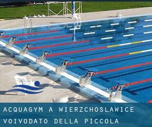 Acquagym a Wierzchosławice (Voivodato della Piccola Polonia)