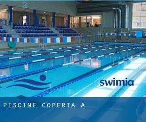 Piscine Coperta a 东海岛