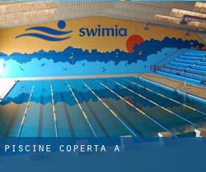 Piscine Coperta a 东海岛