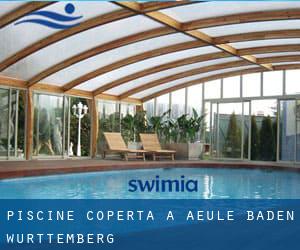 Piscine Coperta a Aeule (Baden-Württemberg)