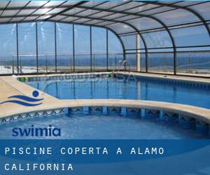 Piscine Coperta a Alamo (California)