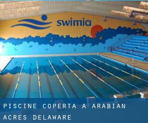 Piscine Coperta a Arabian Acres (Delaware)