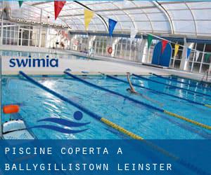 Piscine Coperta a Ballygillistown (Leinster)