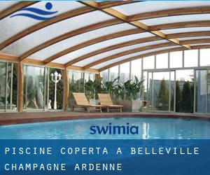 Piscine Coperta a Belleville (Champagne-Ardenne)