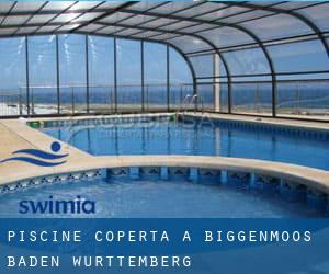 Piscine Coperta a Biggenmoos (Baden-Württemberg)