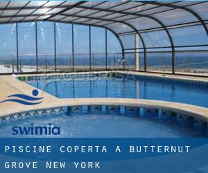 Piscine Coperta a Butternut Grove (New York)