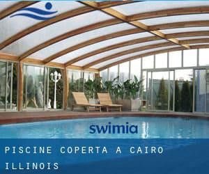 Piscine Coperta a Cairo (Illinois)