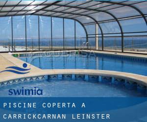 Piscine Coperta a Carrickcarnan (Leinster)