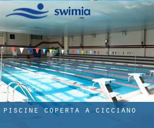 Piscine Coperta a Cicciano