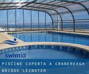 Piscine Coperta a Cranereagh Bridge (Leinster)