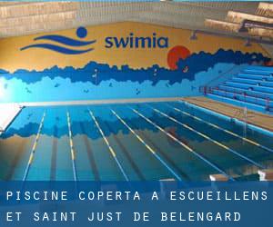 Piscine Coperta a Escueillens-et-Saint-Just-de-Bélengard