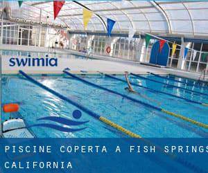 Piscine Coperta a Fish Springs (California)