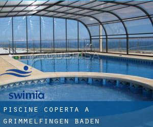 Piscine Coperta a Grimmelfingen (Baden-Württemberg)