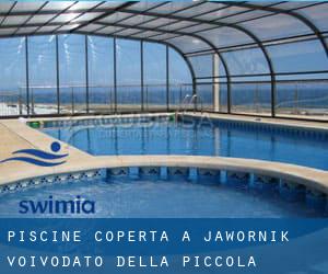 Piscine Coperta a Jawornik (Voivodato della Piccola Polonia)