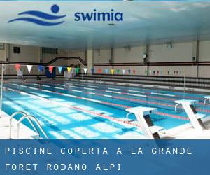 Piscine Coperta a La Grande Forêt (Rodano-Alpi)