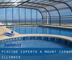 Piscine Coperta a Mount Carbon (Illinois)