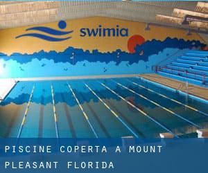 Piscine Coperta a Mount Pleasant (Florida)