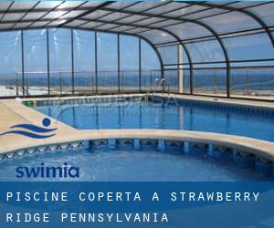 Piscine Coperta a Strawberry Ridge (Pennsylvania)