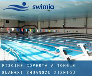 Piscine Coperta a Tongle (Guangxi Zhuangzu Zizhiqu)