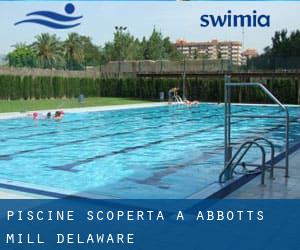 Piscine Scoperta a Abbotts Mill (Delaware)