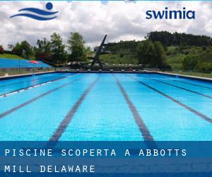 Piscine Scoperta a Abbotts Mill (Delaware)