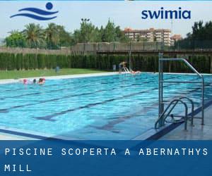 Piscine Scoperta a Abernathys Mill