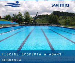 Piscine Scoperta a Adams (Nebraska)