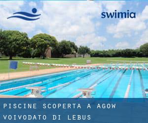 Piscine Scoperta a Łagów (Voivodato di Lebus)