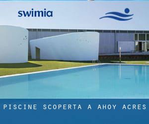 Piscine Scoperta a Ahoy Acres